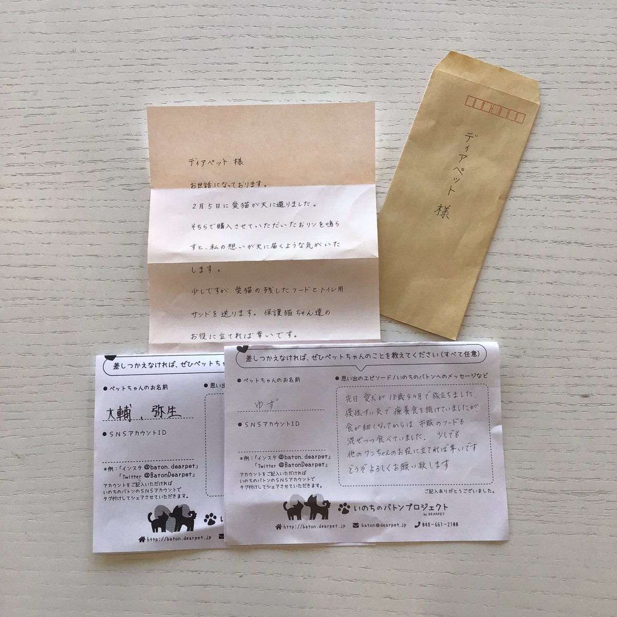 BatonDearpet's tweet photo. たくさんの支援物資がディアペット埼玉店に届きました🐕🐈…🌈 たくさんの支援物資がディアペット埼玉店に届きました🐕🐈…@yawarakai_oisiiみこちゃんお気持ちをたくさんありがとうございます。その他の物資受取報告Instagramでおこなっていますhttps://t.co/VVS2KVmj01 https://t.co/sQWFCLH7en