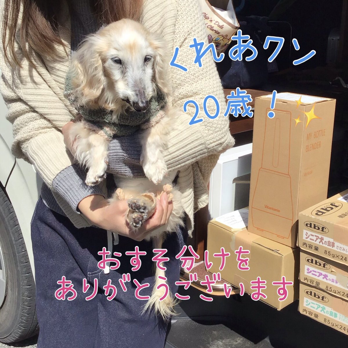 BatonDearpet's tweet photo. たくさんの支援物資がディアペット埼玉店に届きました🐕🐈…🌈 たくさんの支援物資がディアペット埼玉店に届きました🐕🐈…@yawarakai_oisiiみこちゃんお気持ちをたくさんありがとうございます。その他の物資受取報告Instagramでおこなっていますhttps://t.co/VVS2KVmj01 https://t.co/sQWFCLH7en