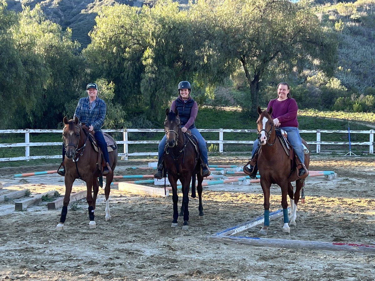 michael63491071's tweet photo. Daylight savings is here and gang was our enjoying their horses at MDPH.  #michaeldamianosperfhorses #willowcreekranchvc #dreammerchants_mdph #ladiesofmdph https://t.co/LeRkTdxhXp