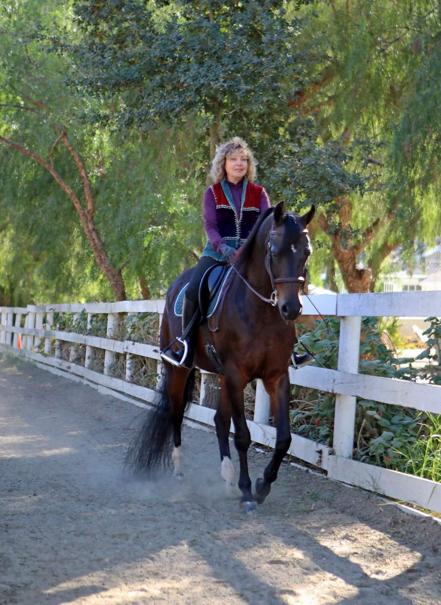 michael63491071's tweet photo. Daylight savings is here and gang was our enjoying their horses at MDPH.  #michaeldamianosperfhorses #willowcreekranchvc #dreammerchants_mdph #ladiesofmdph https://t.co/LeRkTdxhXp