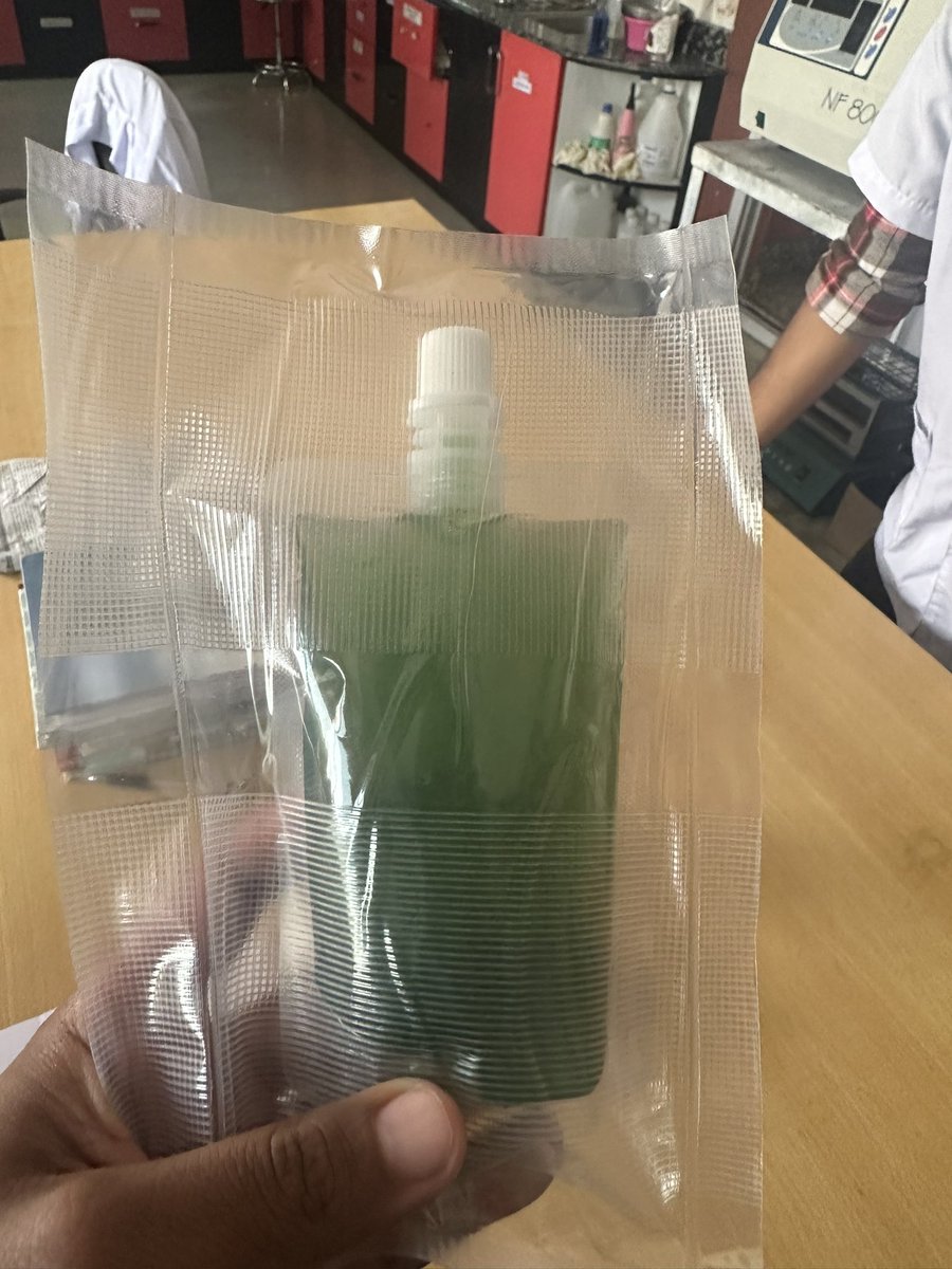 Spirulina at our laboratory. Let’s see what we will do this. 
#microalgae