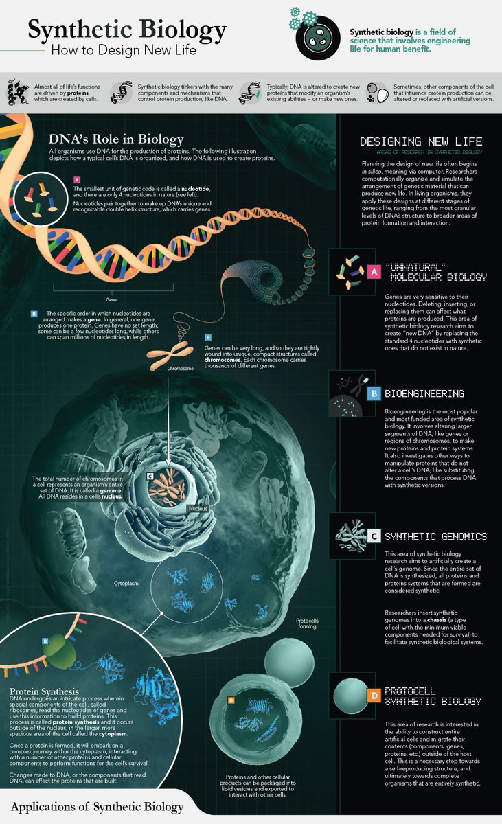GenScript's tweet image. #biologynotes Why is DNA so important in protein production? Because it houses all the information a cell needs for protein synthesis.
