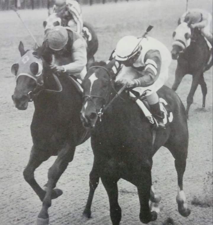 HORSERACING1002's tweet photo. ANGLE LIGHT 🇺🇸1970
(QUADRANGLE - PILOT LIGHT BY JET ACTION)
#AngleLight https://t.co/qK6KJvsyyt