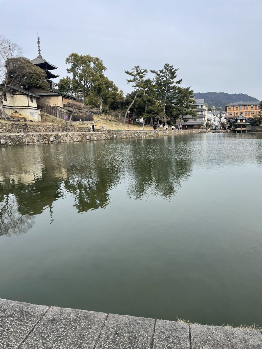 usikungc's tweet photo. 奈良駅の近くにある池 https://t.co/W6CqUEHsed