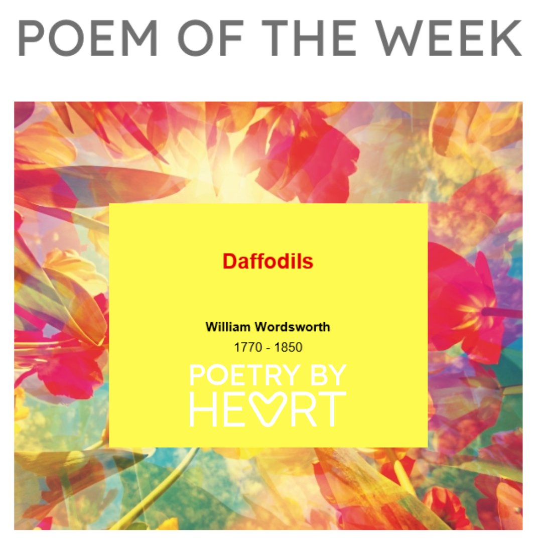 poetrybyheart's tweet photo. New week, NEW #PoetryByHeart Poem of the Week! Use our tips to learn Wordsworth's famous poem Daffodils by heart. Aim for a subtle pulse of rhythm &amp; rhyme in the performance so your audience can see &amp; feel the glorious images &amp; joyful mood of poem. #poetry https://t.co/023V7HKJpi https://t.co/2VPtFMi62q