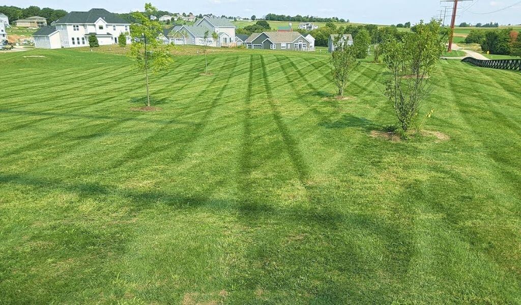 GreenMowersLLC's tweet image. We take pride in all of the properties we service in Verona Wi giving them that great curb appeal. Keeping Verona Wisconsin's air clean with our electric mowing and all organic lawn care services.

madisonwilawncare.com/verona/