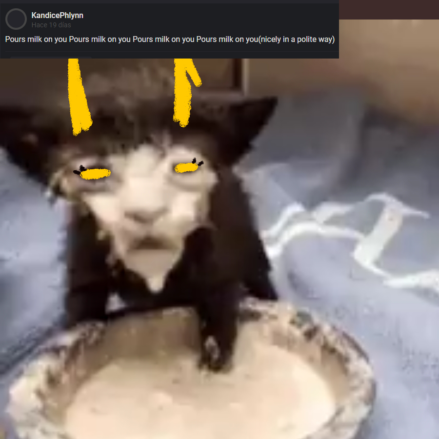 DolorosaPosting's tweet photo. https://t.co/SQVJz7WOwG