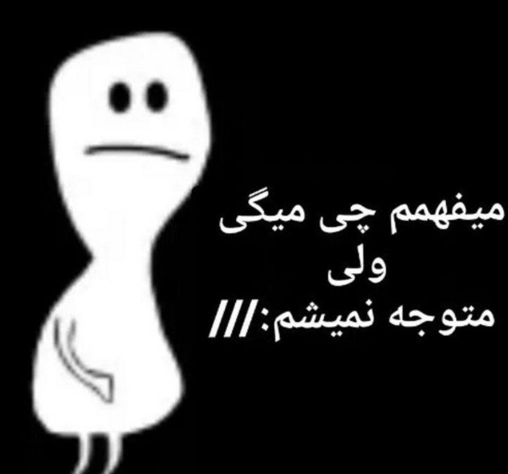 مهدی tweet media