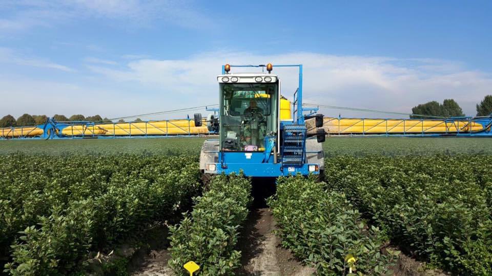 Gezocht medewerker voor op de spuit bij buurman Verbeek boomkwekerijen te Steenbergen nb .Je Gaat rijden op nieuwe delvano die gaat rijden in de bio bomen appel/peren

Delen graag