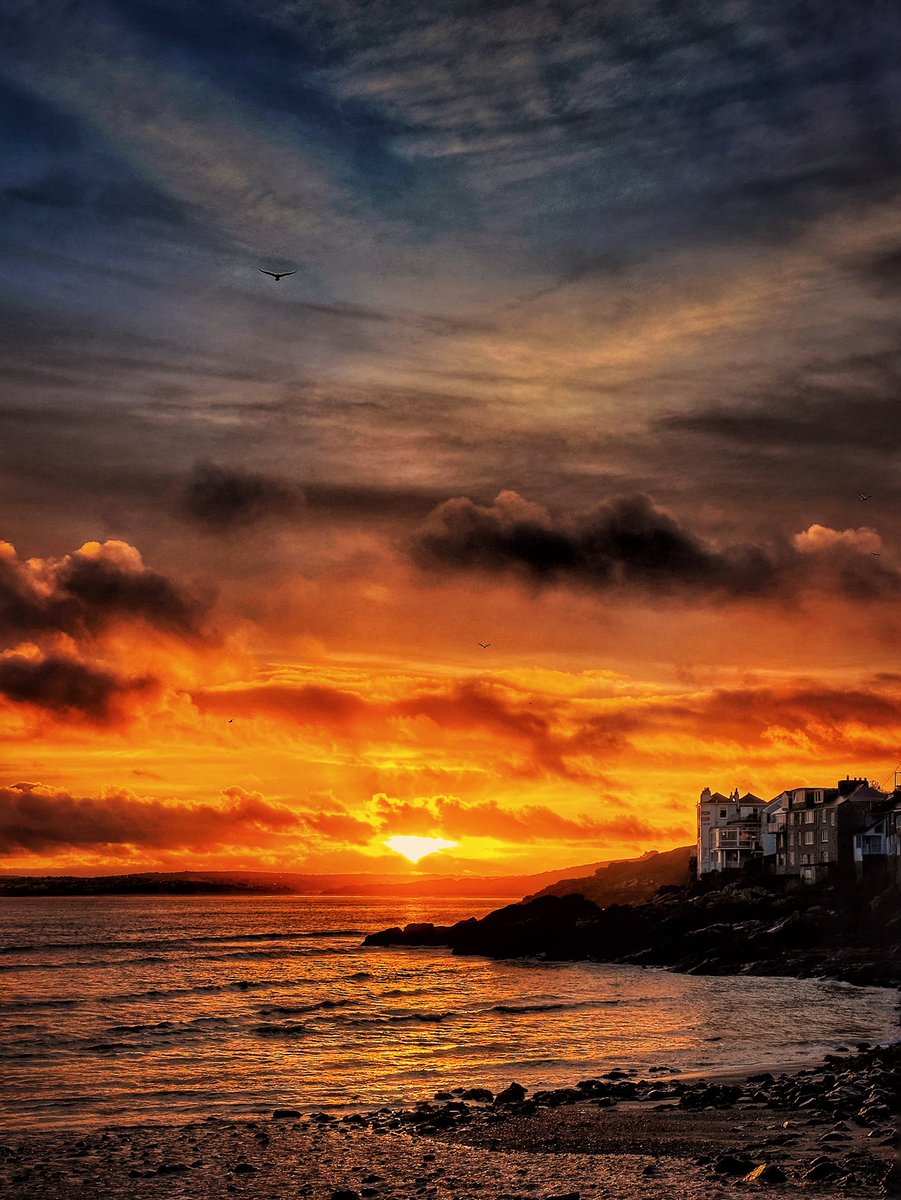 gemmak500's tweet photo. Pedn Olva sunrise sky.
#cornwall #kernow #lovecornwall #uk #explorecornwall #cornishcoast #sea #ocean #visitcornwall #stives #stivescornwall #sky #marine #sunrise  #stivesbay #morning #clouds #fishing #beach #dawn #harbour #reflection #pednolva #cloudporn #birds @beauty_cornwall https://t.co/w8SZ2voKoY