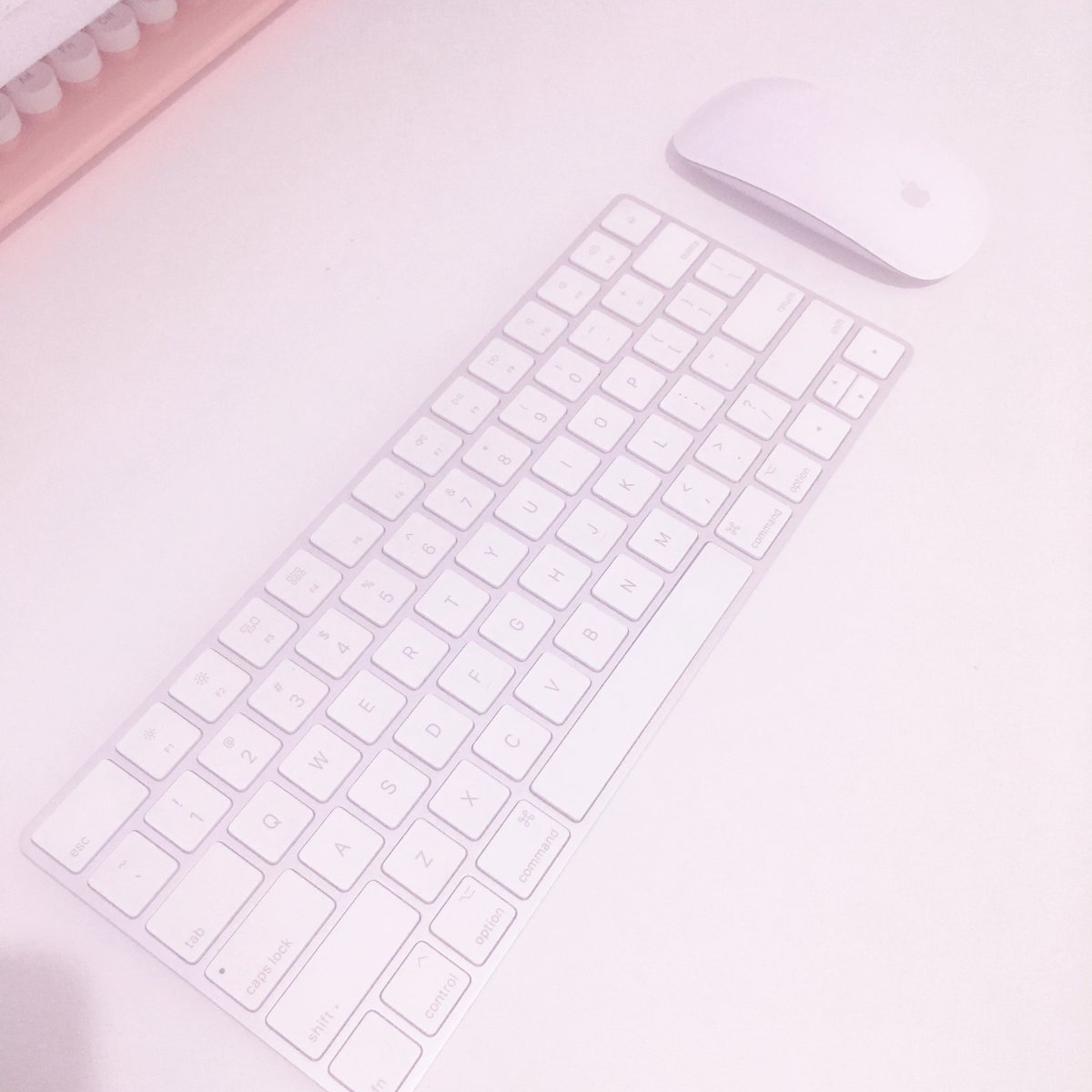 scribbleyen's tweet photo. WTS
Hi, aku mau jual iMac mid 2017 yg aku beli di tahun 2019 krn sekarang lebih banyak pake laptop 

Specs:
iMac 27-inch Retina 5K
3.5GHz Quadcore Inter i5
Radeon Pro 575 4GB
8GB RAM
1TB Fusion drive 
Kondisi bisa bilang 90-95%bagus +

Punten, numpang tag ya bang @bhaguz_403 🙏🏻 https://t.co/6WlwYlBYy2