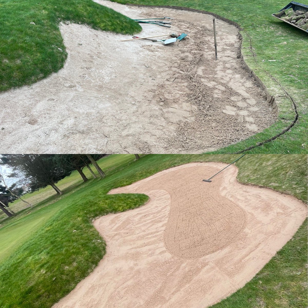 Attention to detail is always important on the golf course. Certain bunkers are being re-edged and topped up (also sand moved) where required. This job is time consuming but important as over the years they decrease in size/shape due to sand build up. #season2024