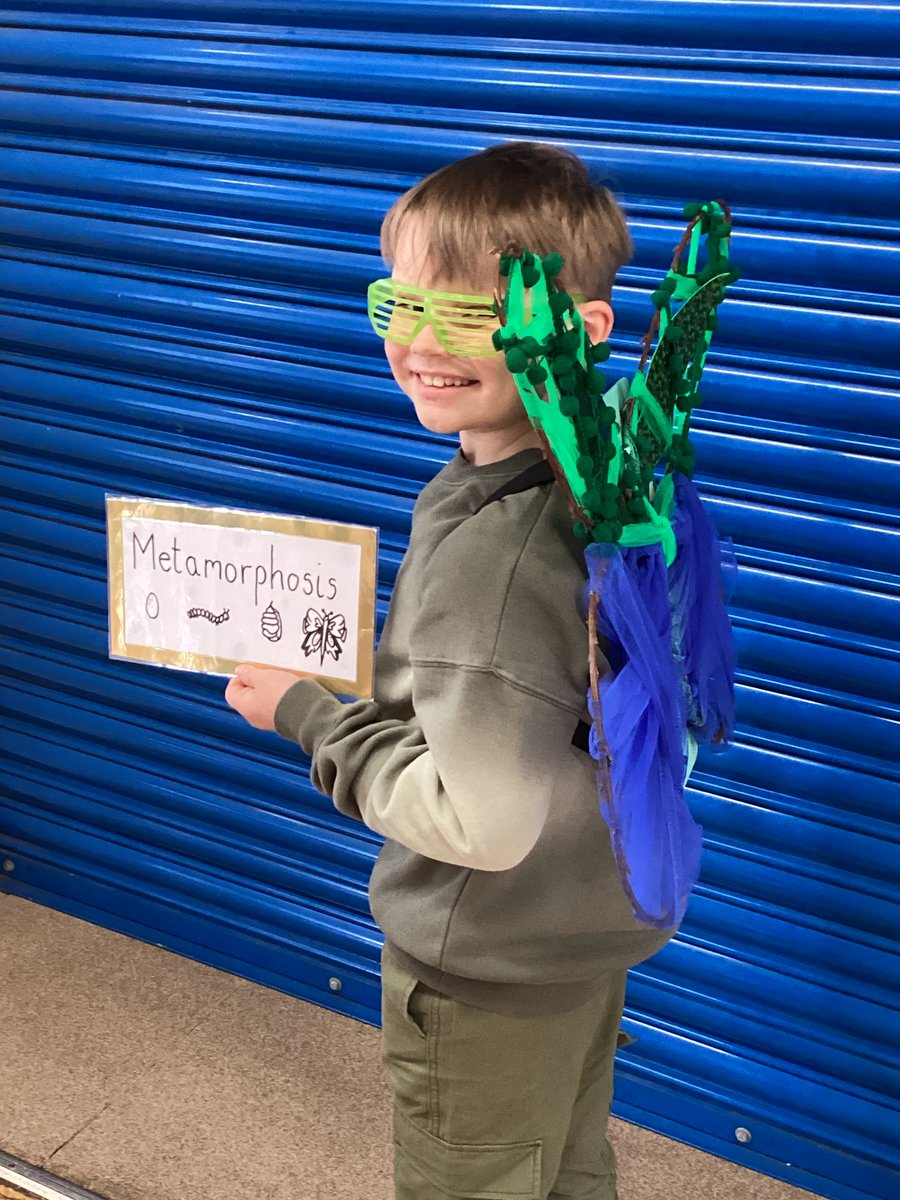 Ford Primary School tweet media