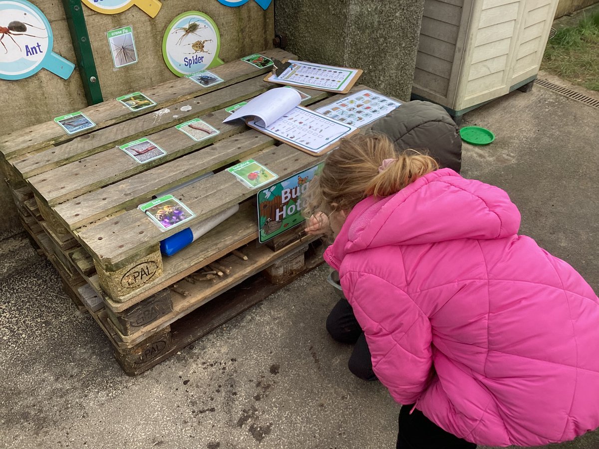 Ford Primary School tweet media