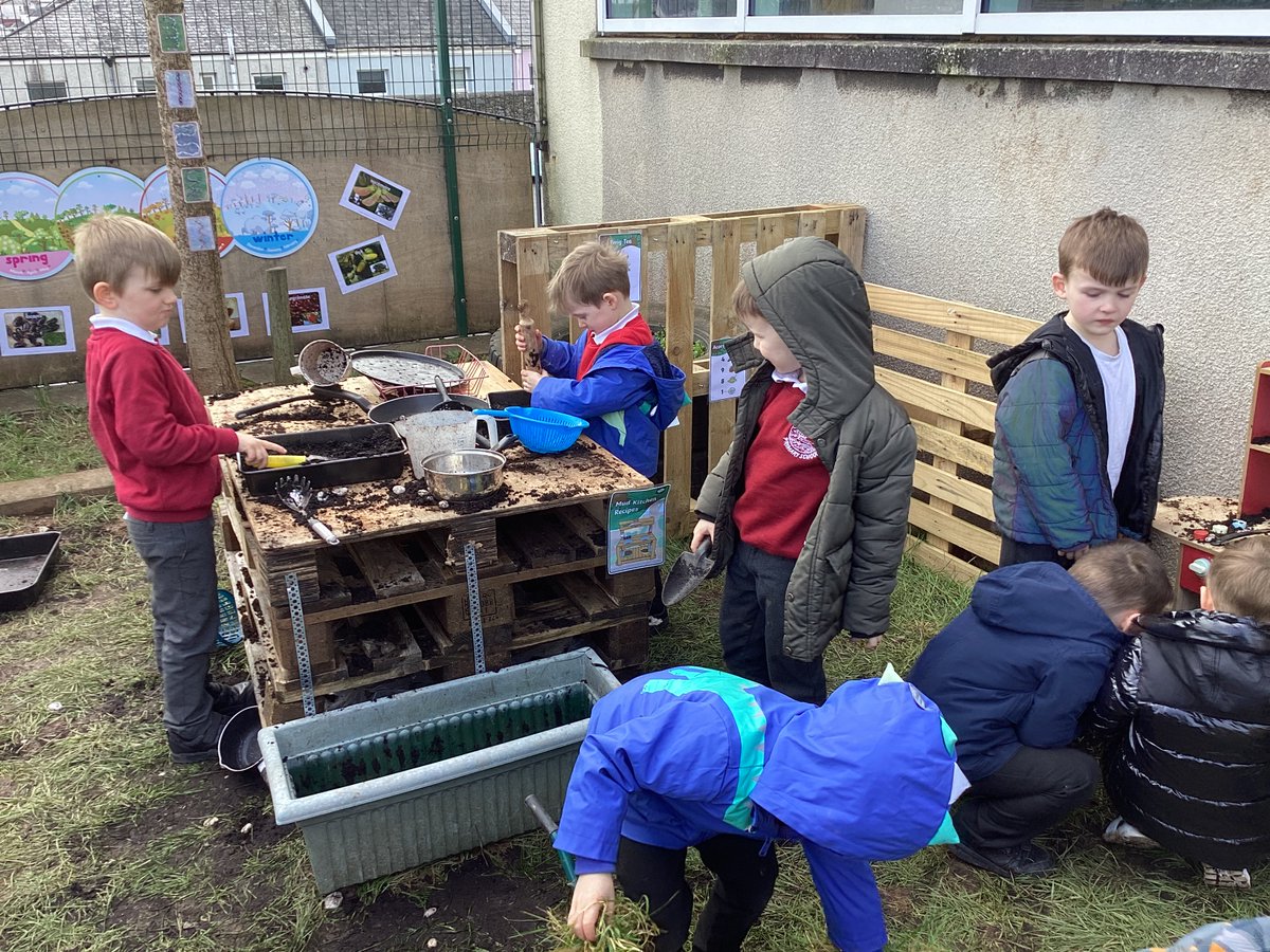 Ford Primary School tweet media