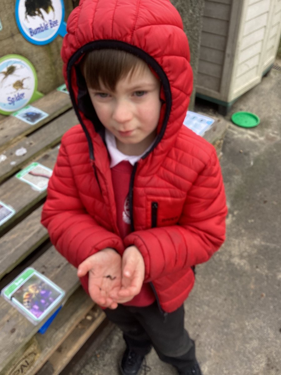 Ford Primary School tweet media