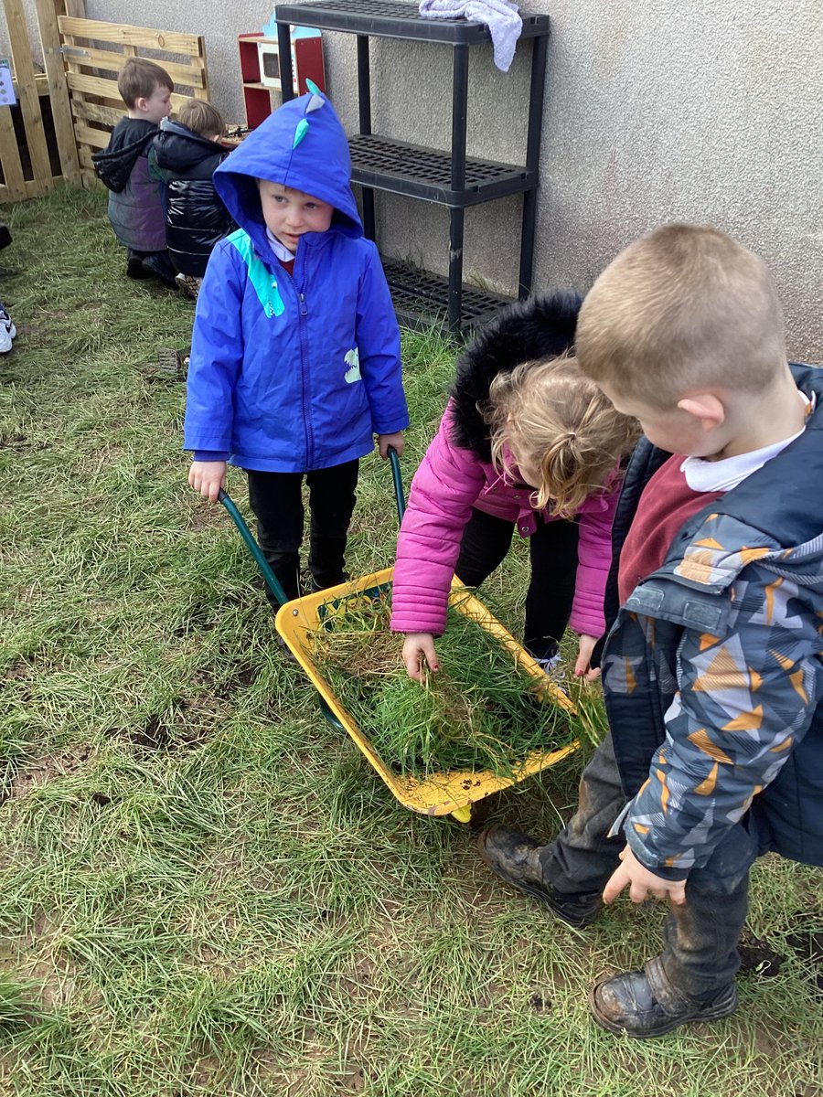 Ford Primary School tweet media