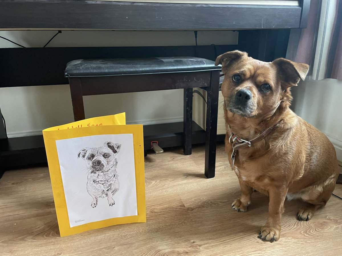 DaisyThePatDog's tweet photo. @OJA_Brumby Thank you so much for the amazing get well soon card! I love it! And so does my Mum! It’s amazing. It’s lovely to know that you all miss me. I miss seeing you all too. My poorly foot is almost better so I hope to see you all soon xxx https://t.co/3lagejkjxY