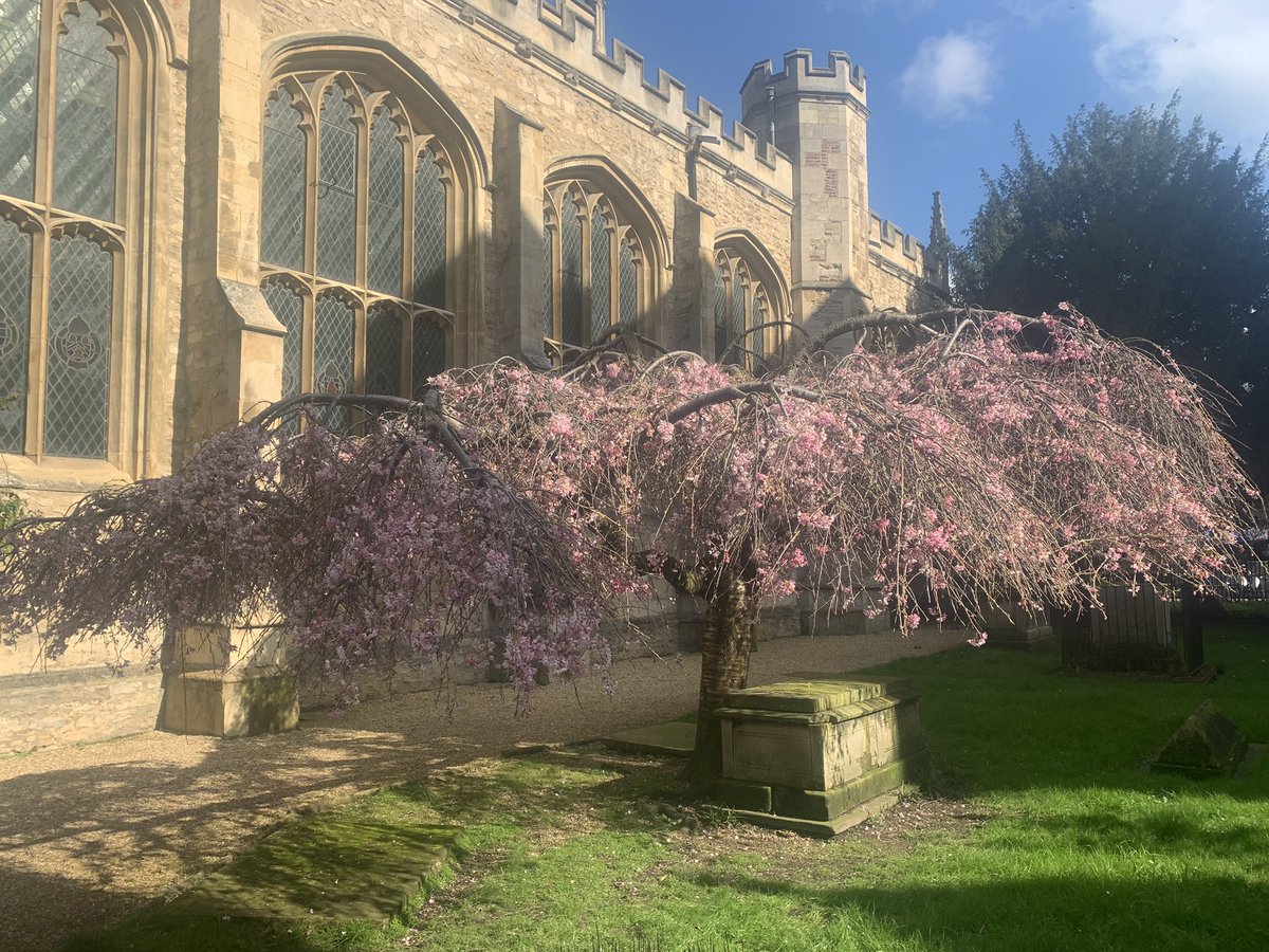 Spring comes: @GreatStMarys. A joy every year.