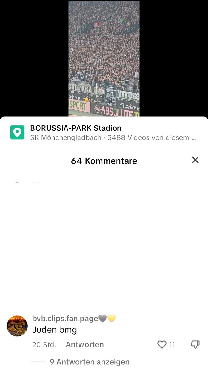 normalster BVB Fan