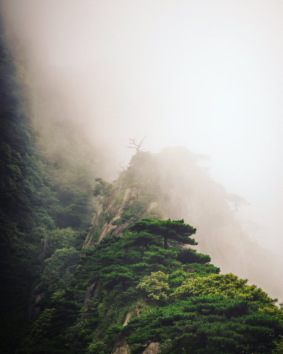 Cederfjärd tweet media