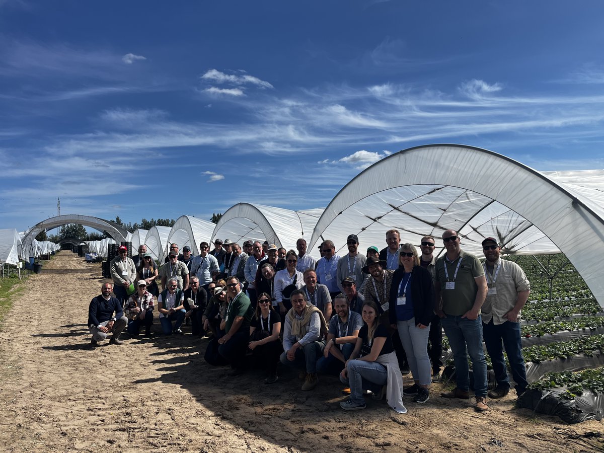 🍓🫐 Provechosa y fructífera visita la que hemos recibido de representantes y agricultores del NASGA, la Asociación de Productores de Fresa de Norteamérica. 👇