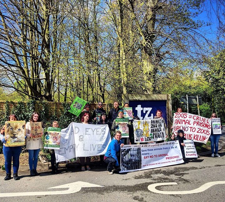 veggiesnottm's tweet photo. During our 40th year we'll revisit campaigns we've been involved with
Since 1984 we've supported Campaigns for Protection of Captive Animals, #Zoocheck & more
Join us on Wednesday to oppose the proposed new zoo in Notts
#FoodByVeggies
#Veggies40Years
https://t.co/FMn6fQou7K https://t.co/GKFQkHfN1S