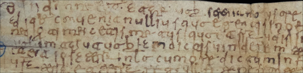 ainoa_castro's tweet photo. This month on our blog, open debate on technical palaeography!
How to objectively measure writing and its execution?
A post about stroke speed, grade, and scribes' training.
#PeopleAndWriting @ERC_Research
A Call for Objectivity
https://t.co/WAMF9uHF1H
What do you think? https://t.co/celmGQydVo