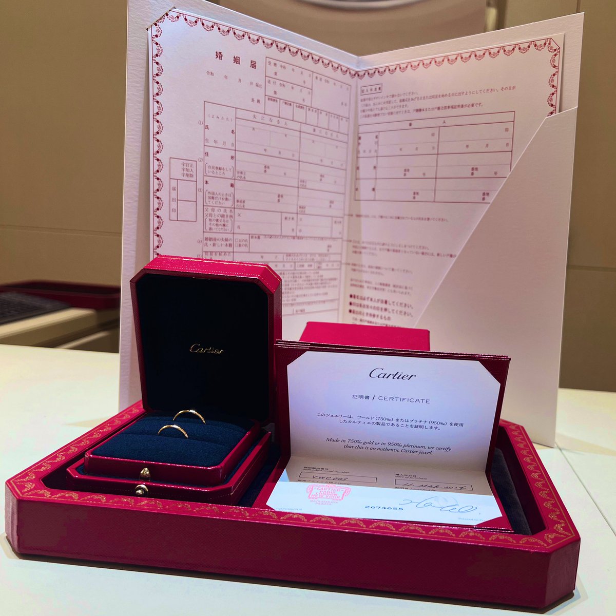 ＊松本 (@matsumo_traha) on Twitter photo 