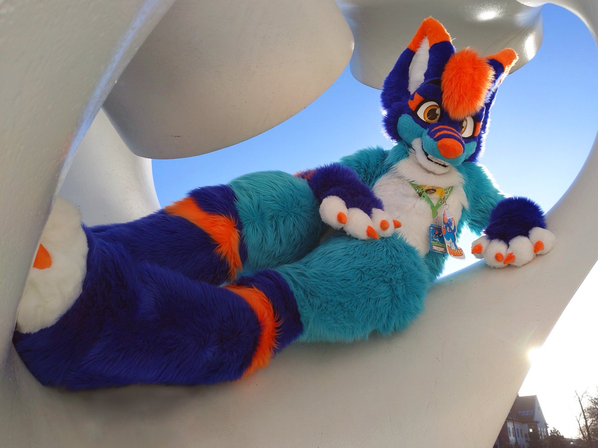 Wouldn't you like to chill with Dexter this #miesdoMonday ? ☀️

#furry #fursuit