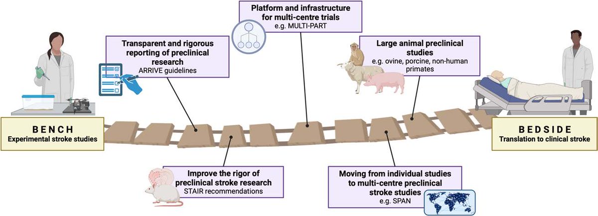 #AHACentennialCollection, by Turner and Farr: Multicenter, rigorously-conducted studies using clinical trial methodology in pre-clinical models promise to identify strong candidates for testing in humans. #stroke #AHAJournals ahajrnls.org/4a7DigR @Neuro_Nay @struglin_scigal