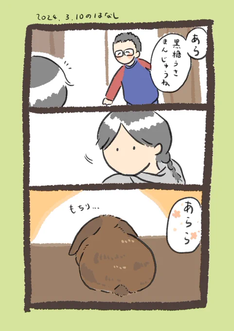【SSR】黒糖さまんじゅう

#うさぎのいる生活 