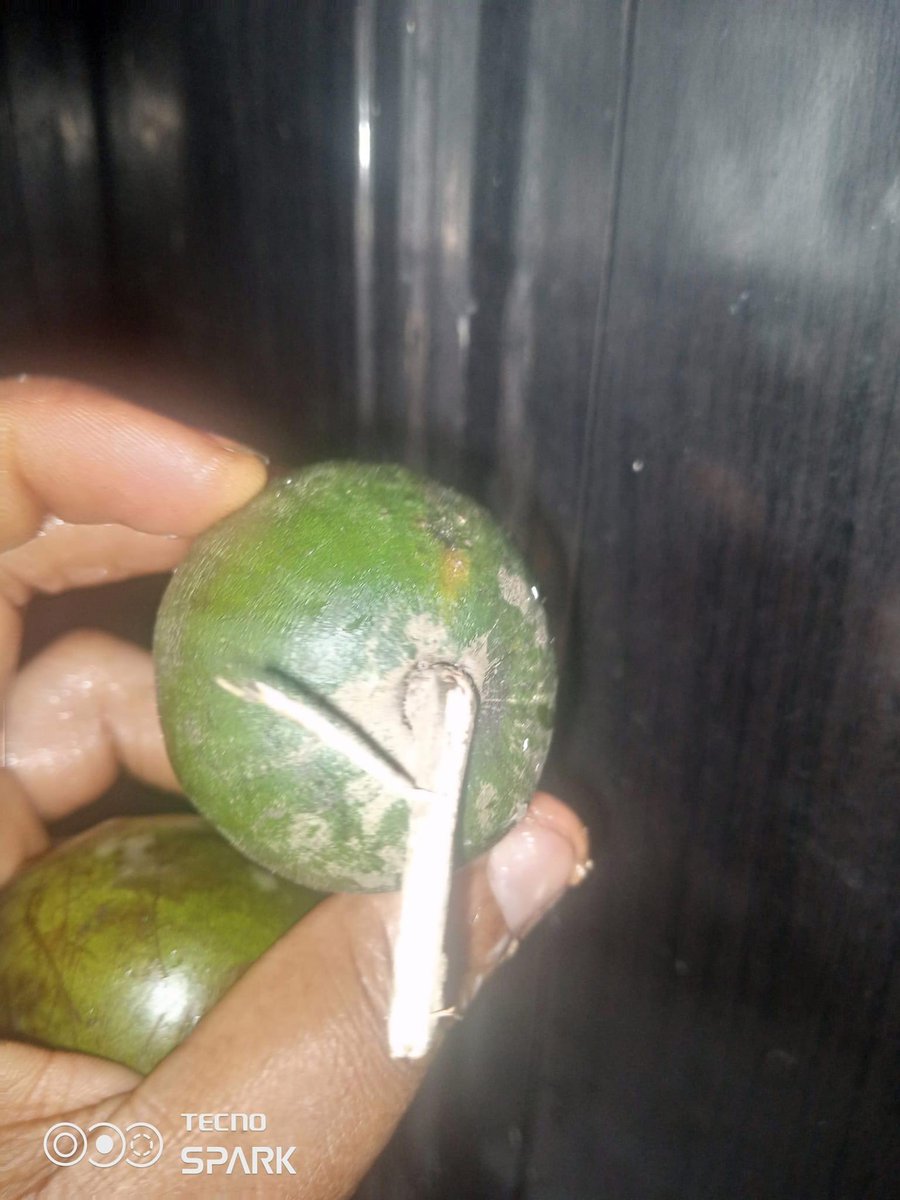 iamscrummy_'s tweet image. Is it just me? I prefer unripe Agbalumo