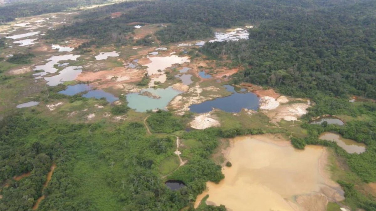 From the NGO @SOSOrinoco:
There is an illegal highway that connects the Brazilian city of Tepequém to an illegal #Gold mine of about 4,000 hectares in the Venezuelan town of Icabarú (in the state of Bolívar).
#STOP buying #GOLD!
#BoycottGOLD4IndigenousPeoples!
#Boycott4Wildlife!