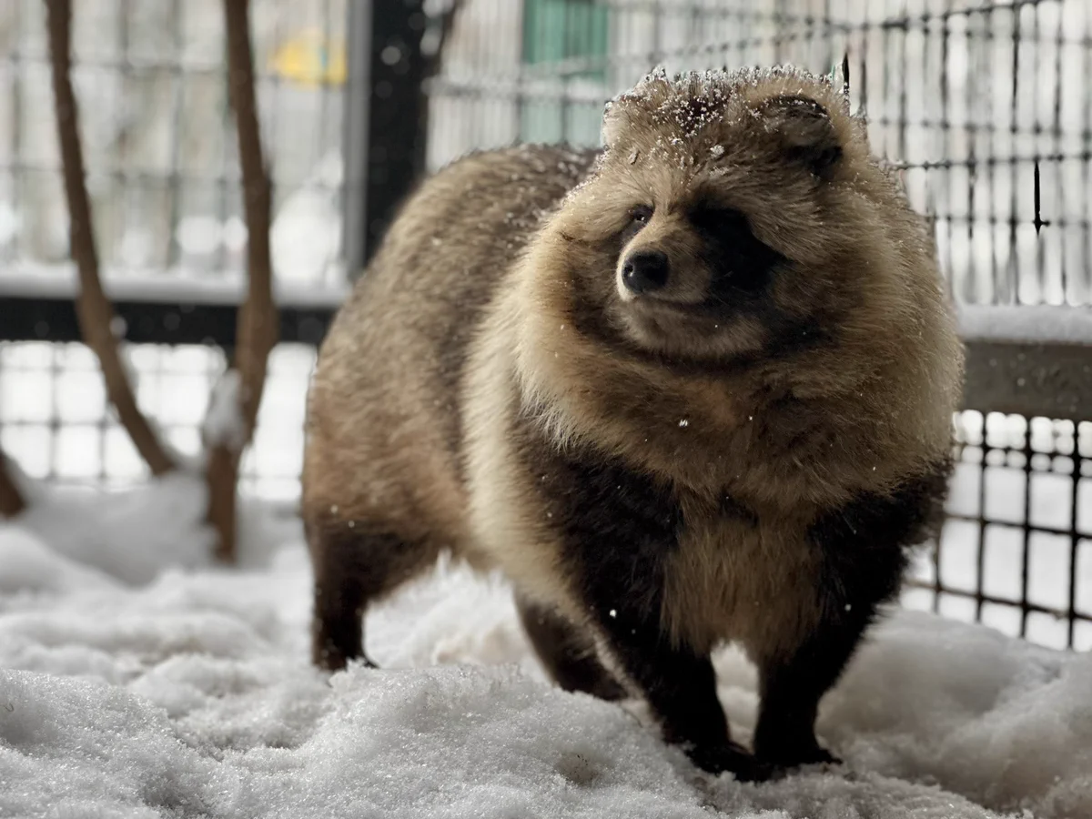 おびひろ動物園［公式］ on X: 