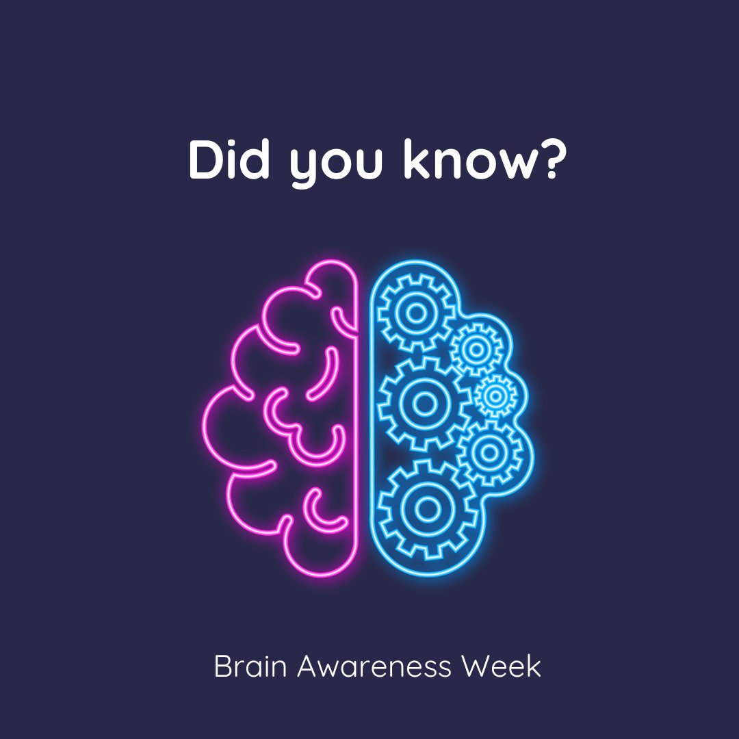 This #BrainAwarenessWeek we'll be sharing some mind-blowing facts with you about the brain's role in child development! Did you know from conception up to 5 years old, the brain develops faster than at any other point in our lives? #neuroscience #childdevelopment #sciencefacts