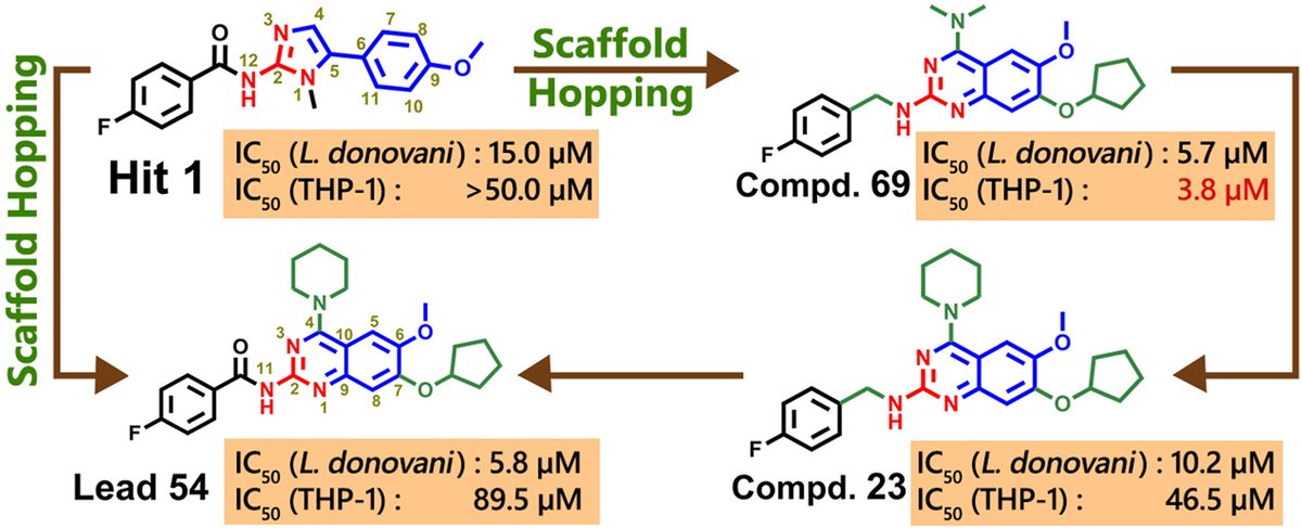 Hit-to-lead optimization of 2-aminoquinazolines as anti-microbial agents against #Leishmania donovani sciencedirect.com/science/articl… #protists