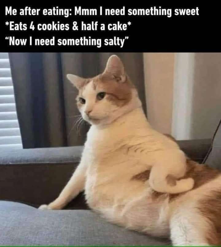 😂😂😂
.
.
.
.
.
.
#Memes #FunnyMemes #CatMemes #FunnyCatMemes #CatLover #CatLovers #FelineLover #FelineLovers #PetLover #PetLovers #CatOwners #PetOwner #PetOwners #PetMemes #FunnyPetMemes #CatCompanion #CatObsessed #CatObsession #Snack #Snacking #CatSnack #PetSnack #CatSnacking