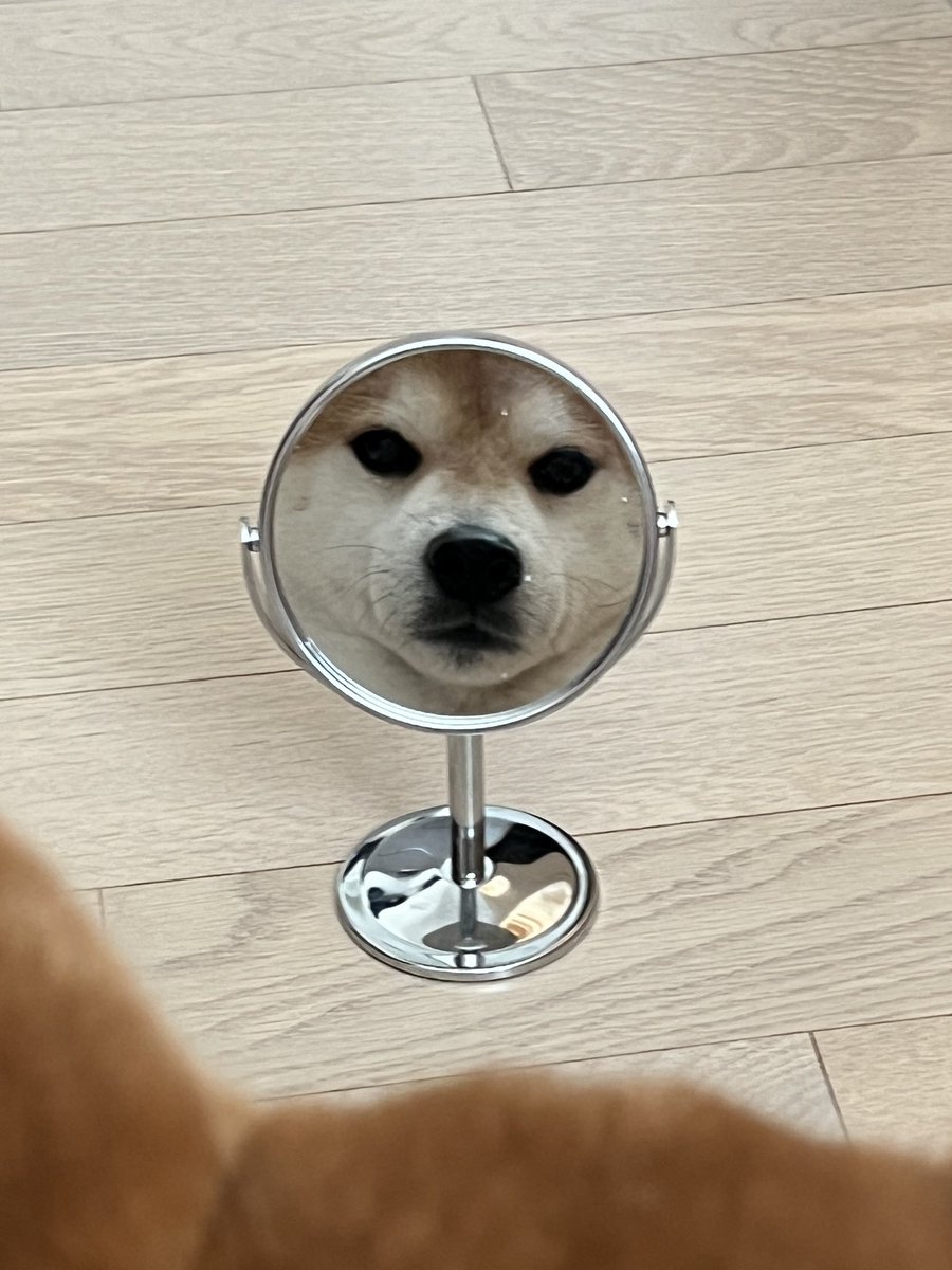 대복 (@big_luck__) on Twitter photo 