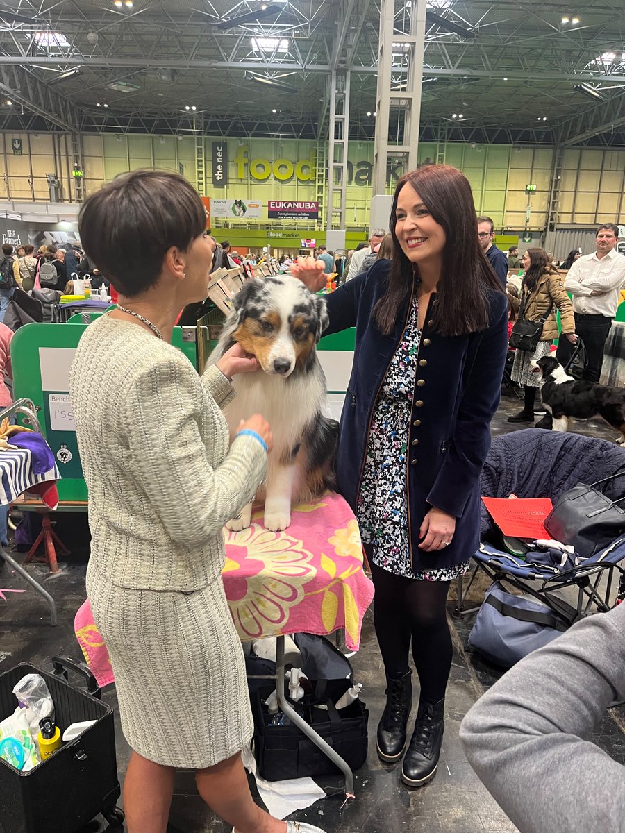 And that’s a wrap - another whirlwind four days at #Crufts2024 with <a href="/Channel4/">Channel 4</a> is over. It’s a complete break from reality and amazing to be involved in such a huge production. Back to the rainy school run today!

#crufts #irishsetter #tvpresenter #commentator #channel4