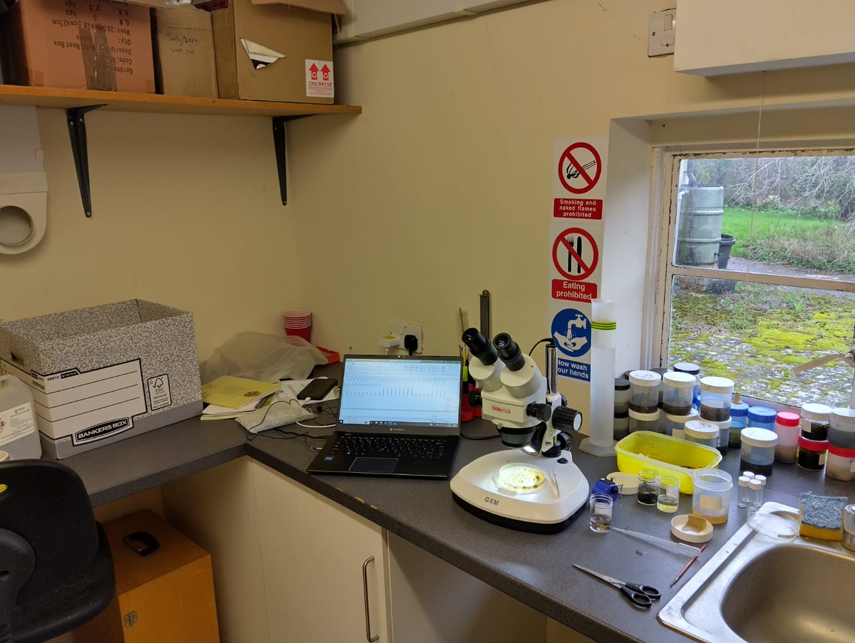 Rainy days are for lab work! ☔️ Here's a peak at one of our pitfall samples taken from an agroforestry strip last summer. What can you spot? 👀