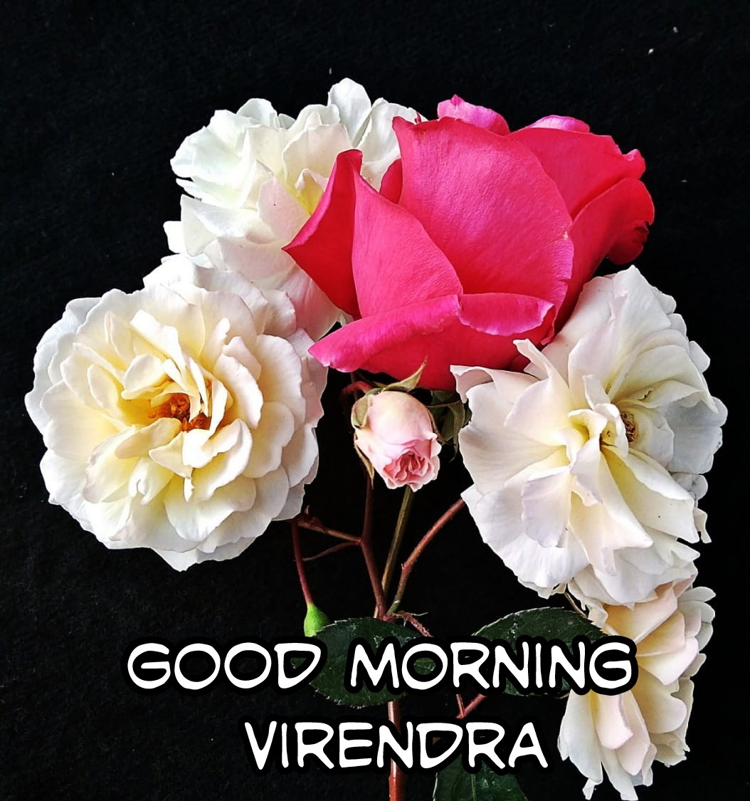 virendra dixit tweet media