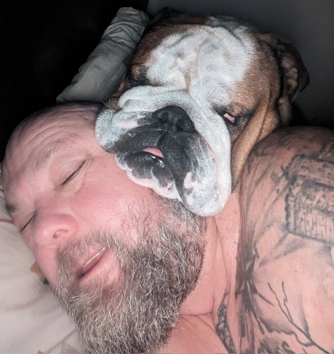 jayclark0106's tweet image. 3am and I've got #BulldogProblems 😂😂😂 bless him 💤💤💤🥱 #AlessoBo #Bulldog