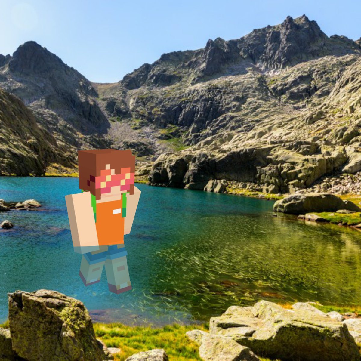 Where is Squiddo? tweet media