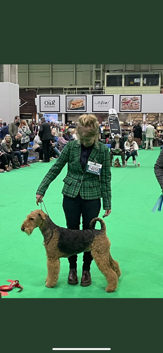 Great day at crufts