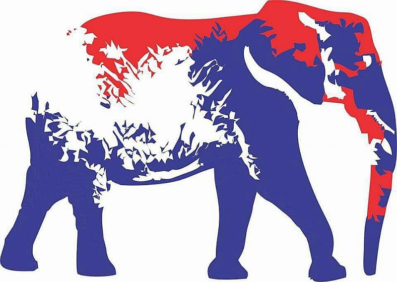 We are moving forward