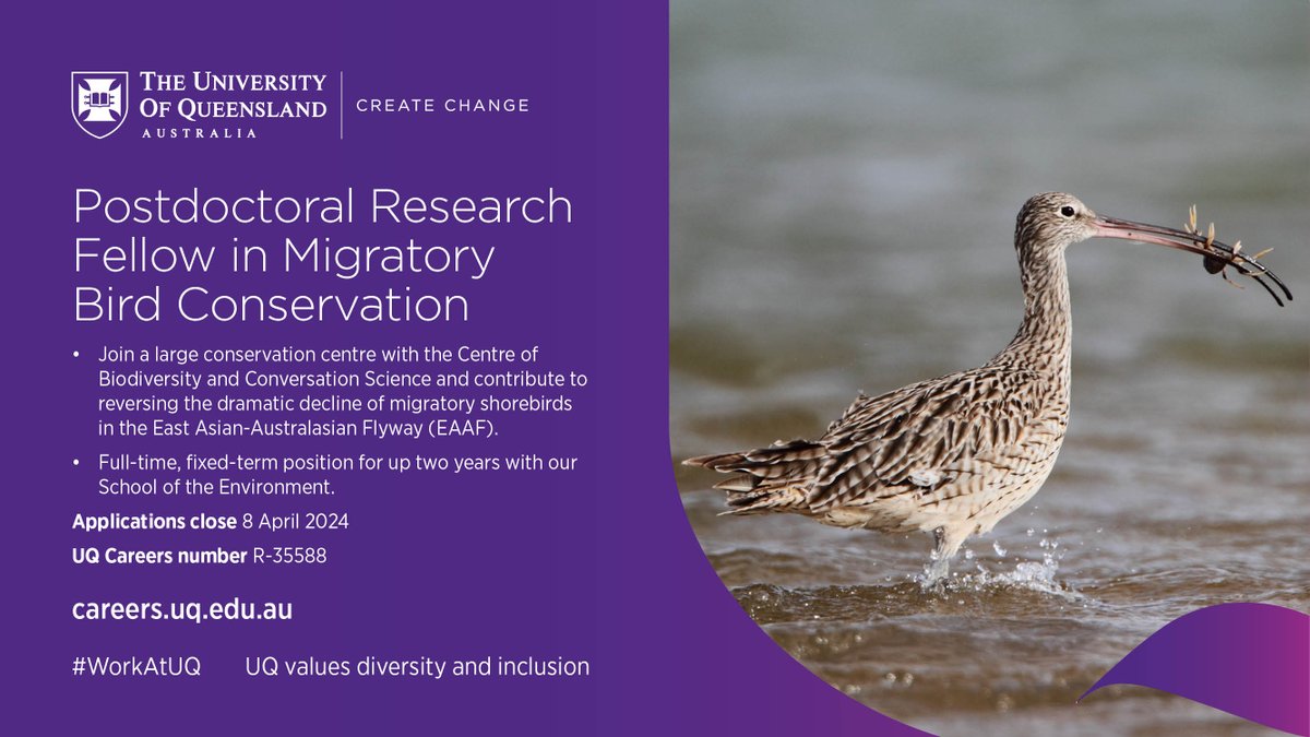 Exciting opportunity to contribute to reversing the dramatic decline of migratory shorebirds in the East Asian–Australasian Flyway! Come and work with Rich Fuller and myself as a 2-year postdoc @UQ_CBCS. uq.wd3.myworkdayjobs.com/uqcareers/job/…