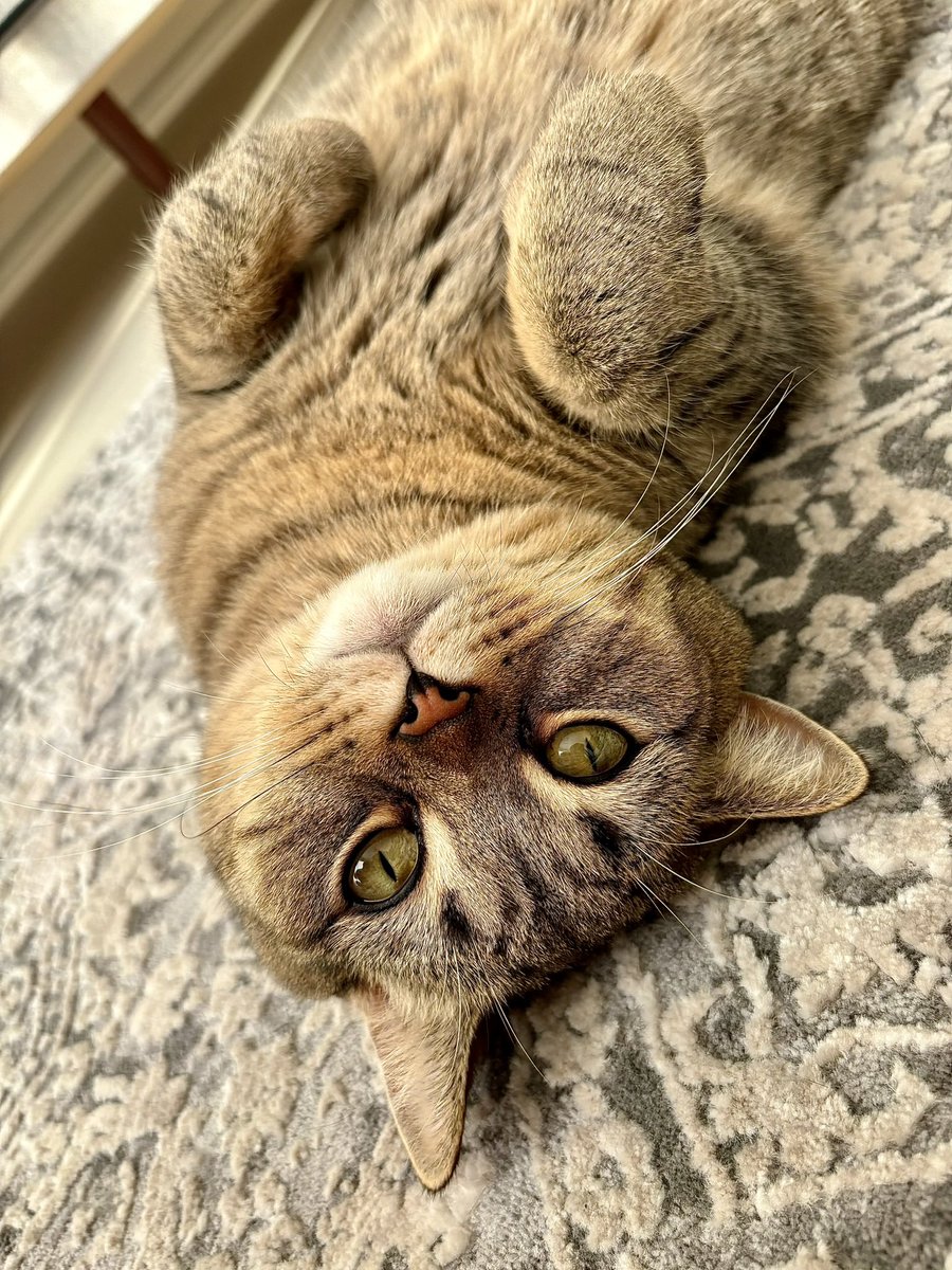 Çok aşığım sana 🫶🏻