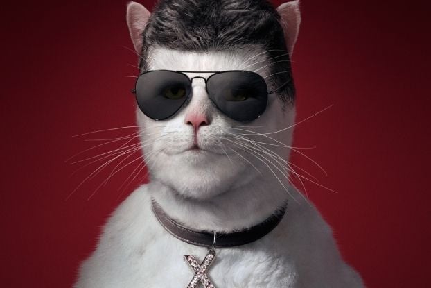 Miju1Ola's tweet photo. GM! GM!! GM!!!
Start this week with #FATCATCOIN 😺🤍💪! The greatest meme coin of it's time
#FATCAT @fatcat_coin #FatCatArmy https://t.co/jf2DWutxQR