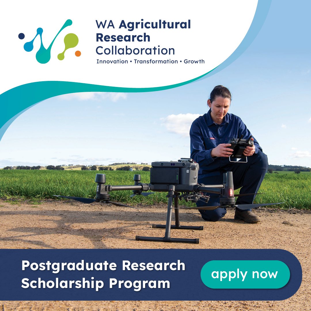 Postgraduate research students - don’t miss this opportunity 🤩 Applications now open under round one of the @WAAgCollab’s new Postgraduate Research Scholarship Program. Up to 12 top-up scholarships on offer. Applications close 16 April 2024. Learn more 👉🏻 wa.gov.au/government/med…